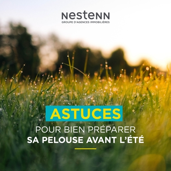 Nestenn Conseil : les clés pour une belle pelouse estivale !