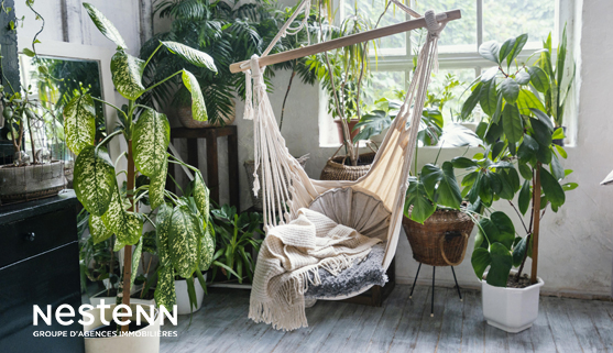 Plantes aromatiques : Comment les faire pousser à la maison, sur le balcon ou dans le jardin ?
