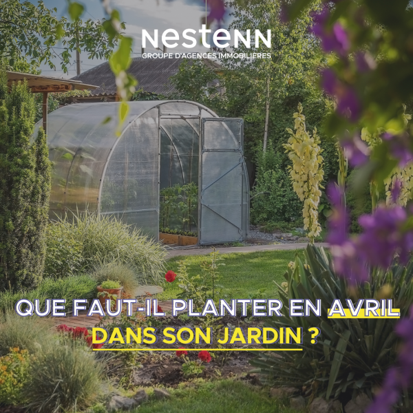 Nestenn Conseils : que planter dans son jardin au mois d'Avril ?