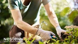 Quels travaux de jardinage réaliser en mai ?